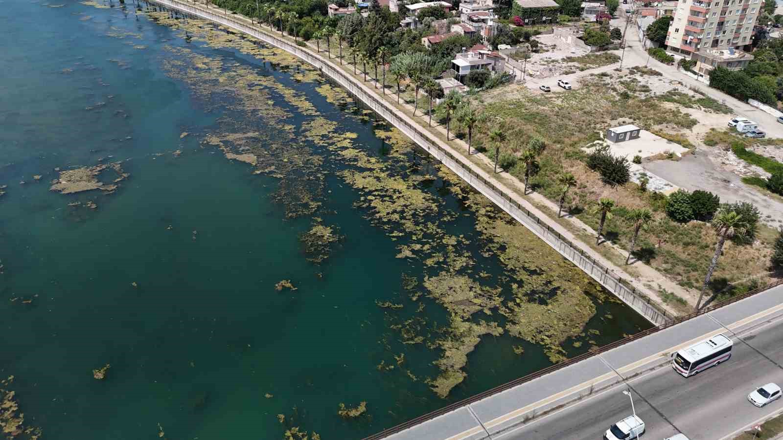 Seyhan Nehri'nde Gönüllü Temizlik: Gençler Doğaya Sahip Çıkıyor