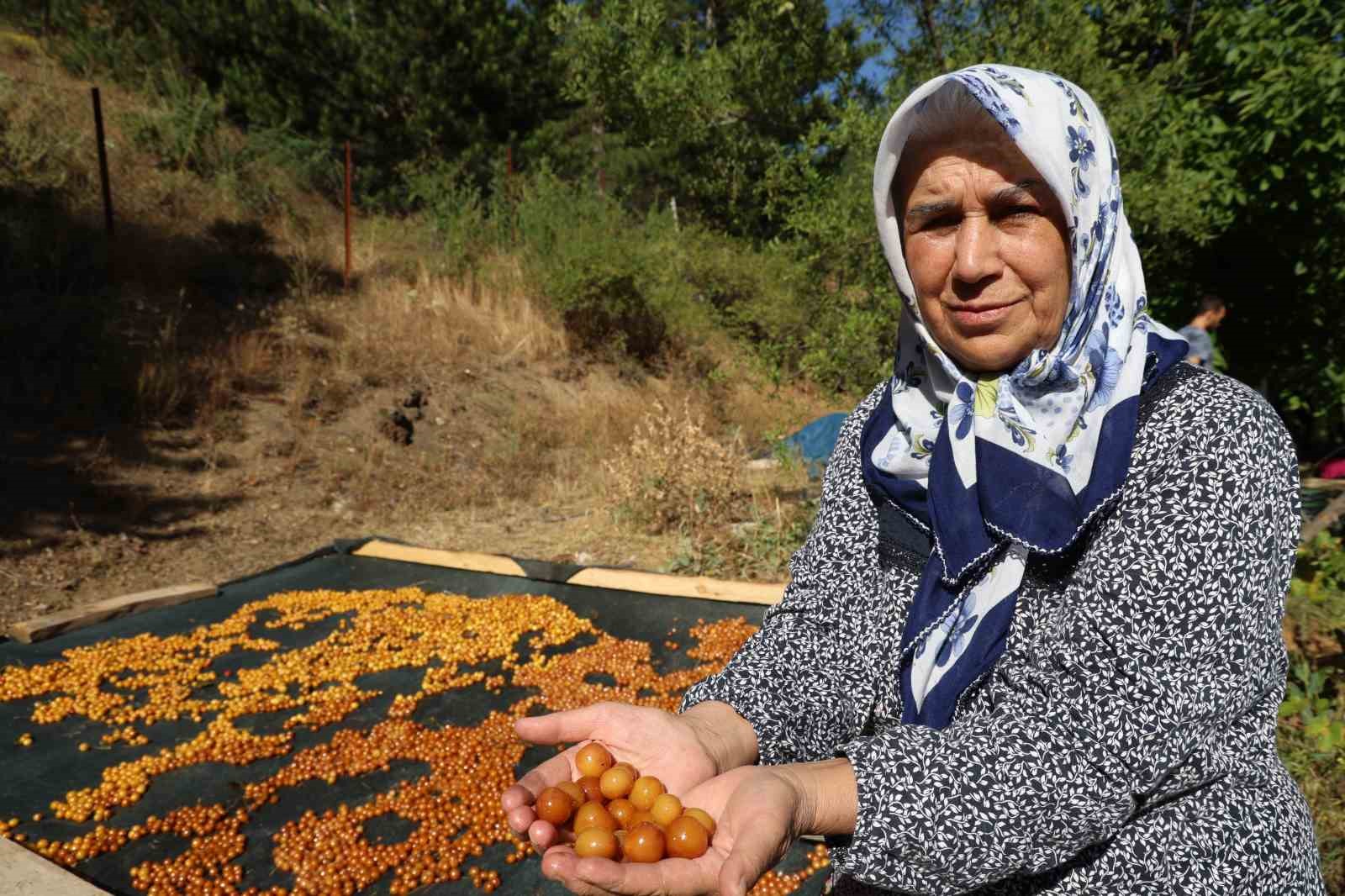 Adana'nın Kirazları Kış İçin Kurutuluyor: Çerez Haline Getiriliyor