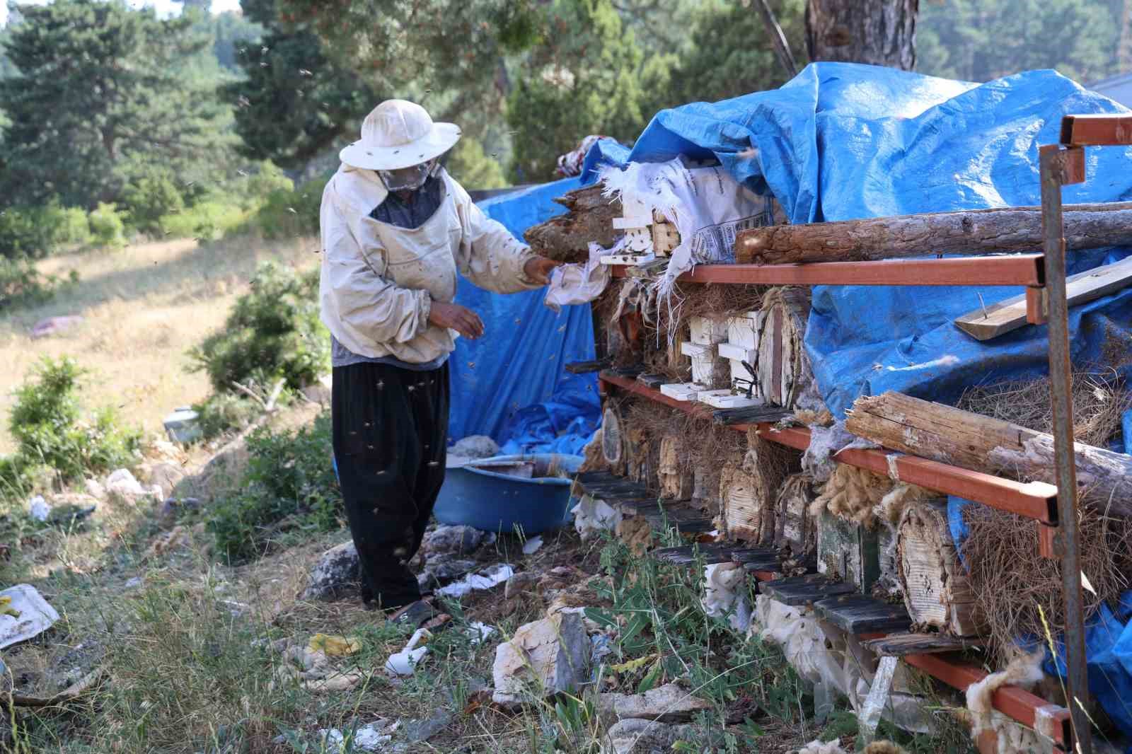 Emekli İmam, Toroslarda Arıcılıkla Doğanın Keyfini Çıkarıyor