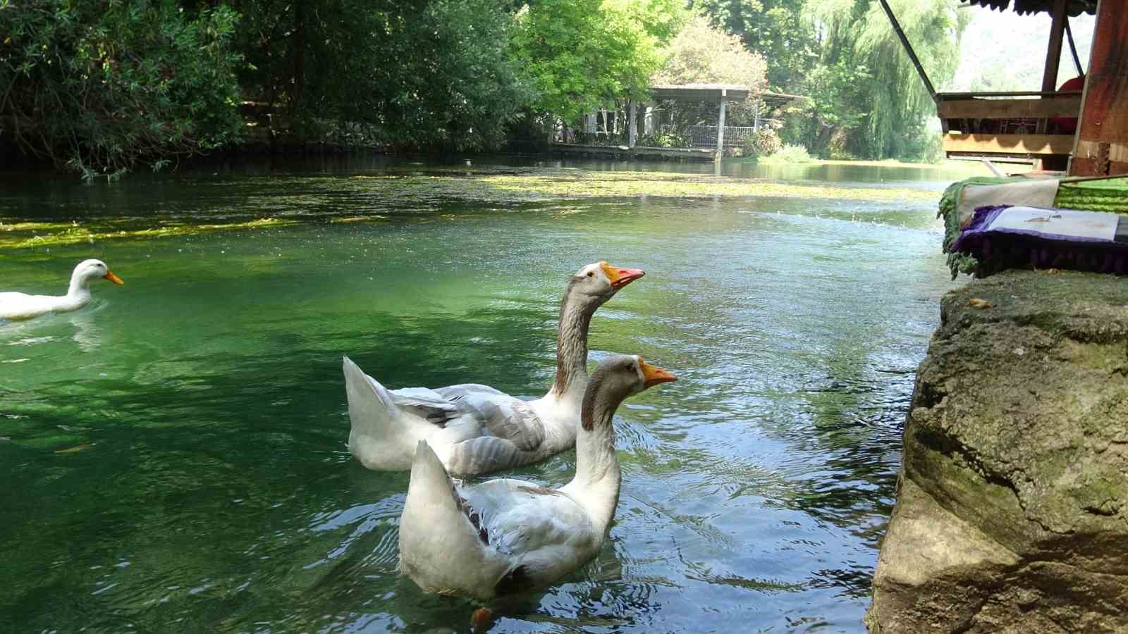 Bucak Vadisi: Adana’nın Gizli Cenneti