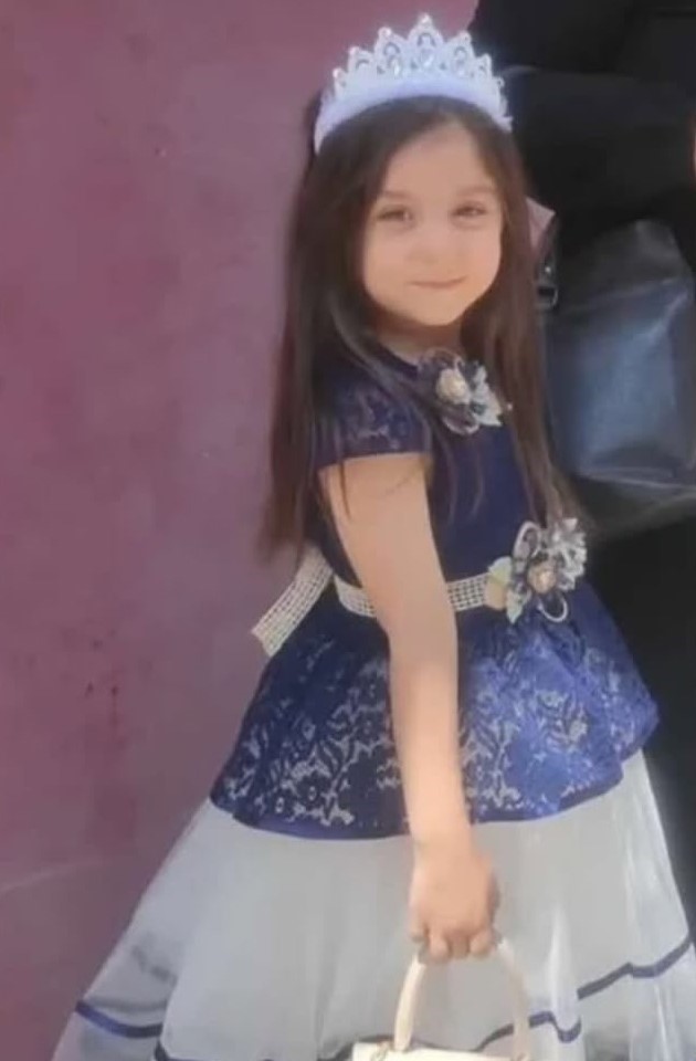 Ceyhan'da Trafik Kazası: 7 Yaşındaki Çocuk Hayatını Kaybetti