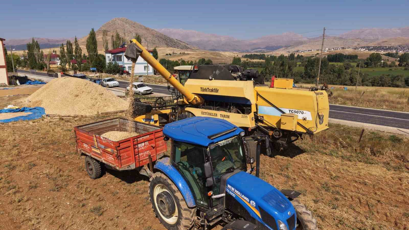 Tufanbeyli'de Nohut Hasadı başladı, Üreticiler Yüzleri Güldürüyor