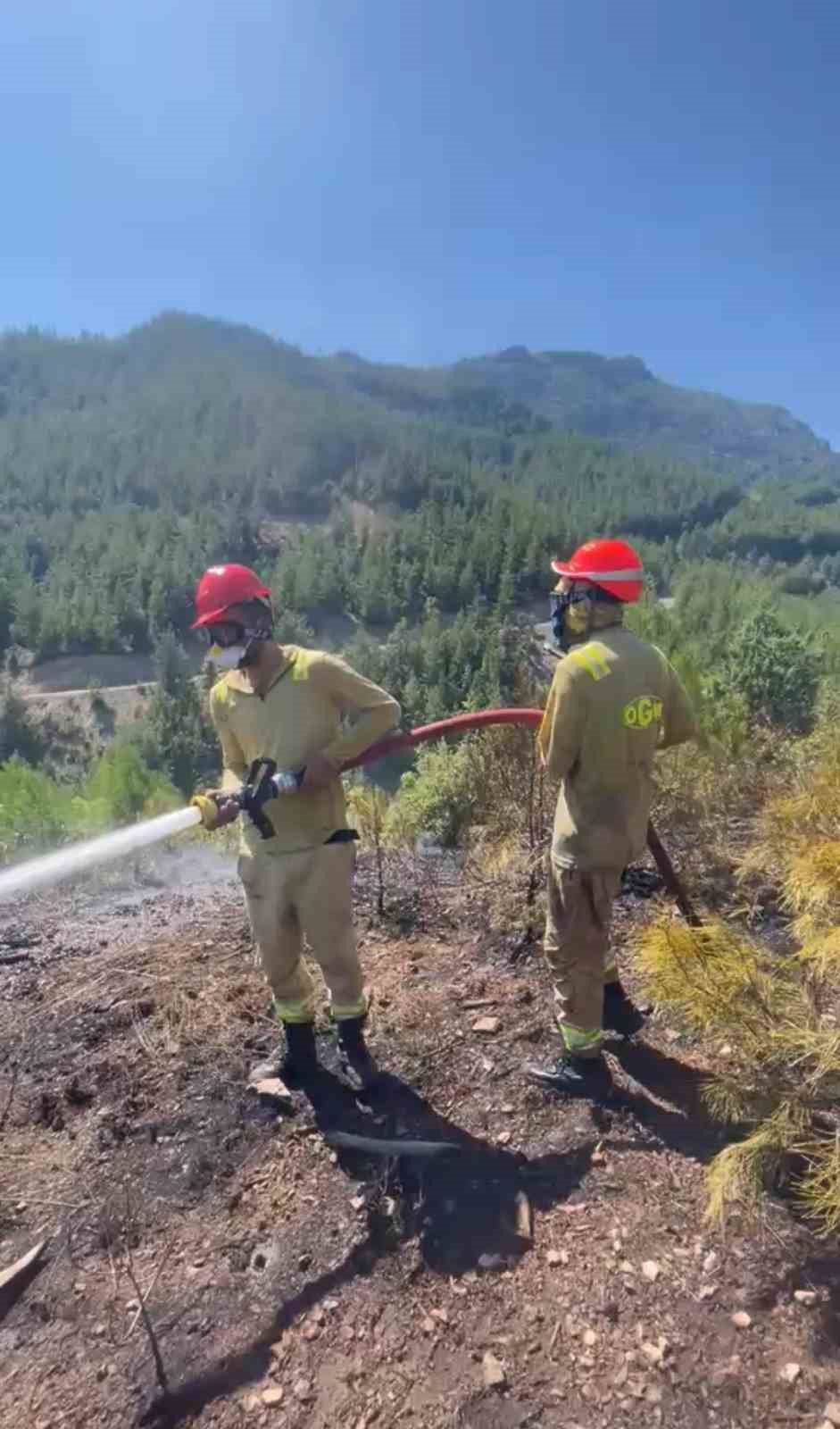 Feke'de Orman Yangını: Havadan ve Karadan Müdahale Devam Ediyor