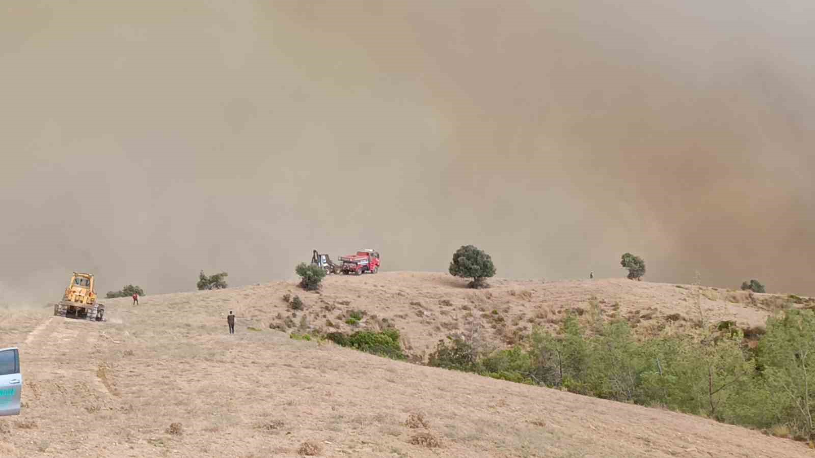Kozan'da Orman Yangını: Helikopterler ve Uçaklar Alevlerle Mücadele Ediyor