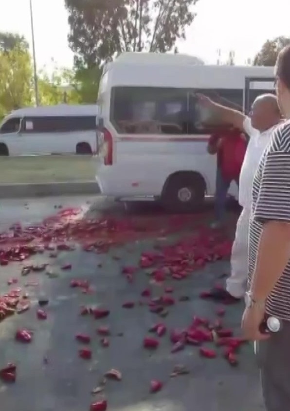 Kaldırım İşgali Biber Tarlasına Dönüştü