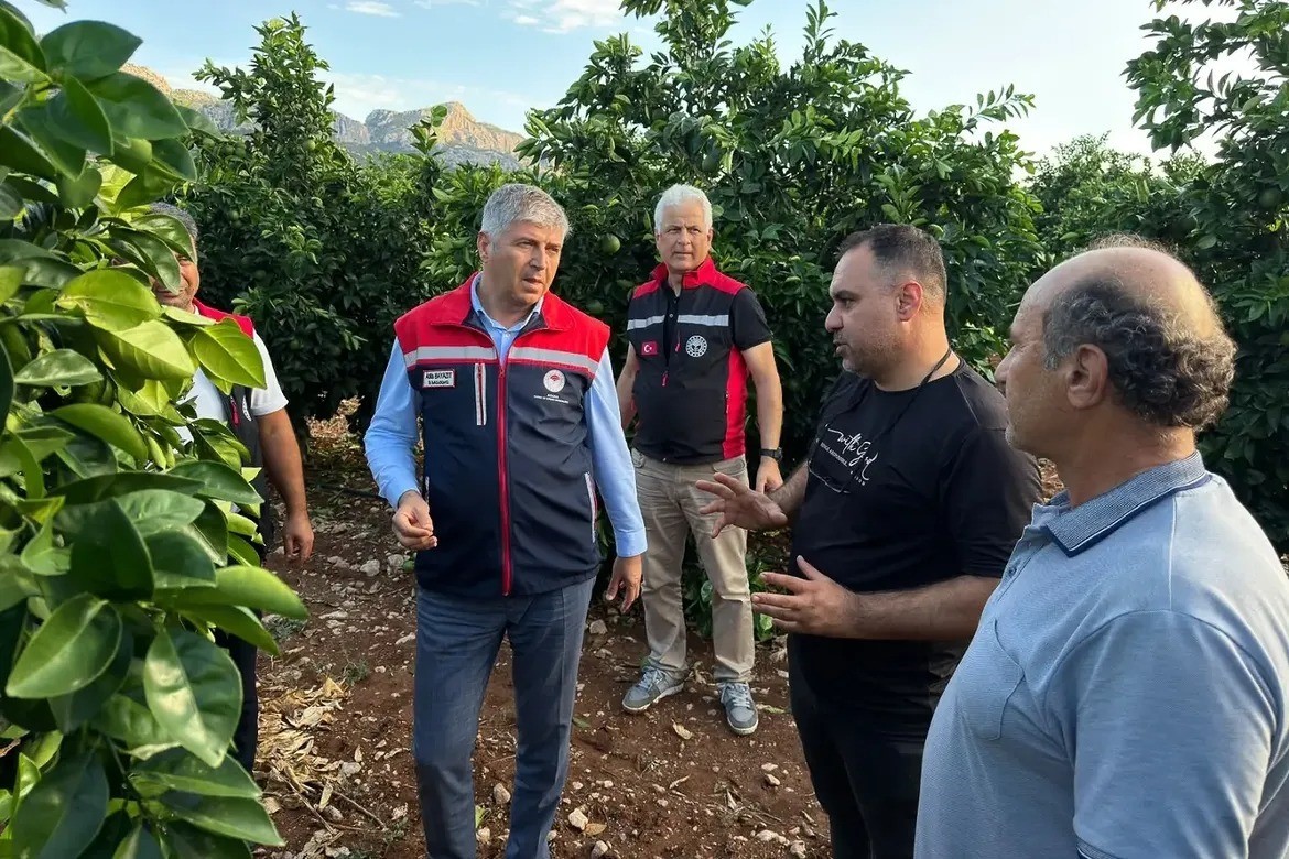 Adana'da Dolu Tarım Arazilerini Vurdu, Hasar Tespit Çalışmaları Başladı