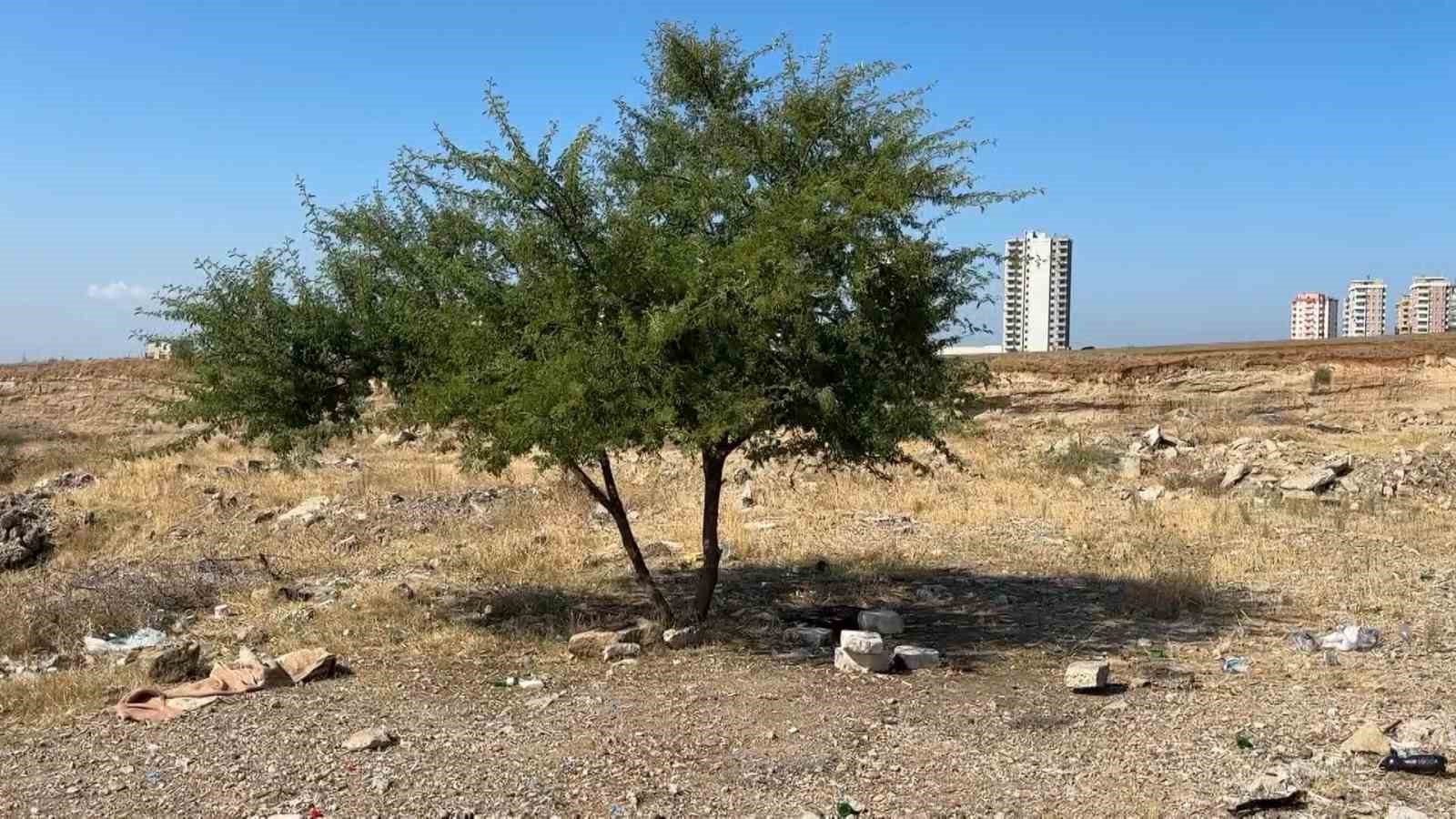 Adana'da Genç Bir Adam Boş Arazide Ölü Bulundu