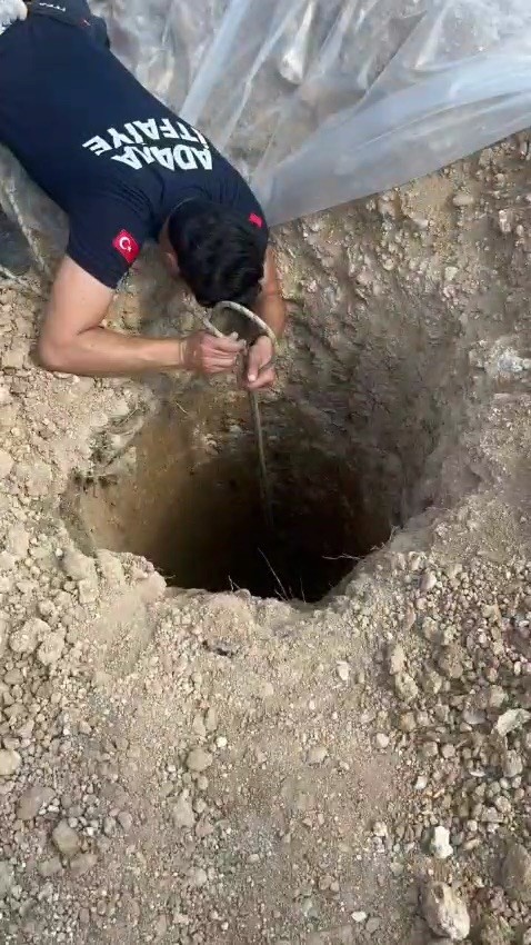 Kuyuya Düşen Sahipsiz Köpek İtfaiye Ekipleri Tarafından Kurtarıldı
