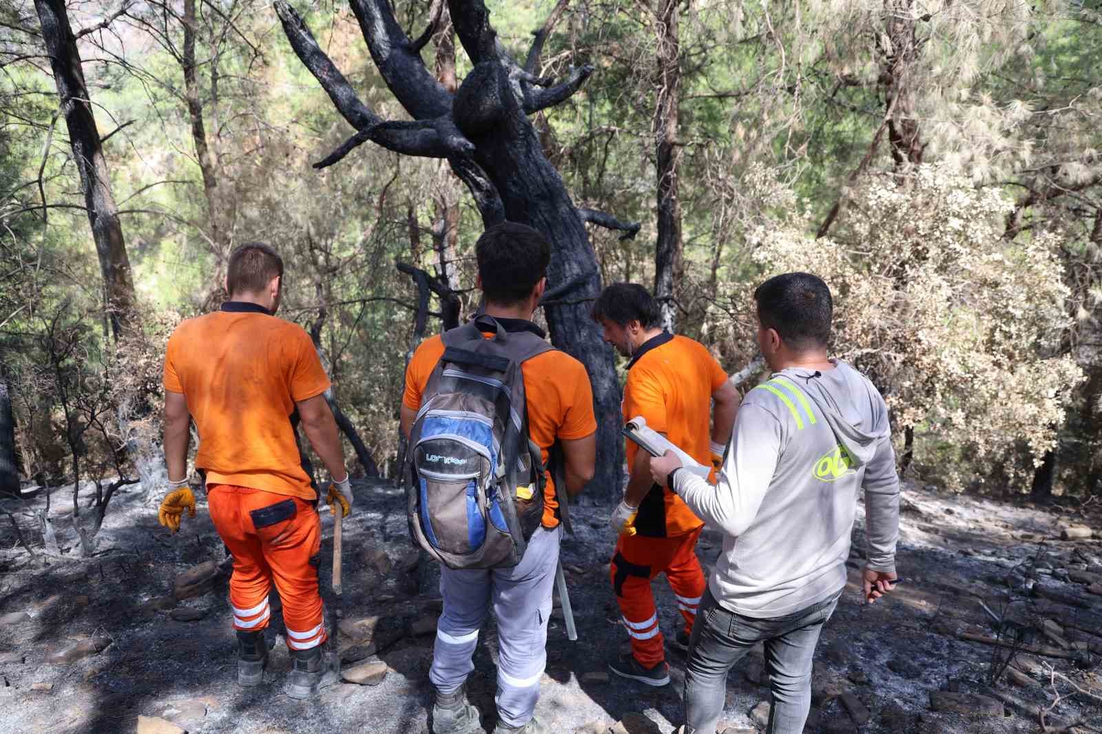 Kozan’da Yangından Etkilenen Alanlar Yeniden Yeşeriyor: Ağaçlar Damgalanıyor