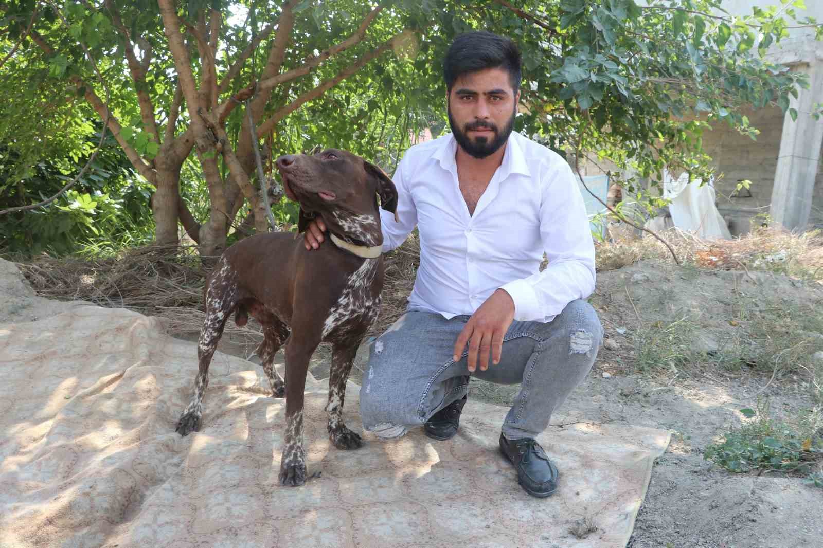 Adana'da Köpeğe Sopayla Şiddet Anı Güvenlik Kamerasına Yansıdı