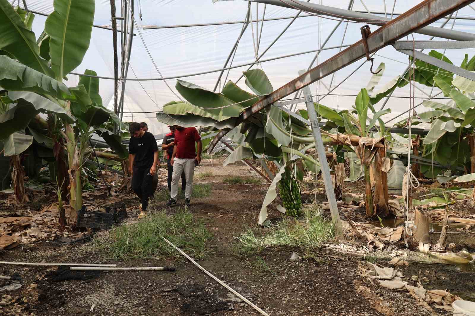 Adana'da Fırtına, Muz Seralarını ve Tavuk Çiftliklerini Vurdu