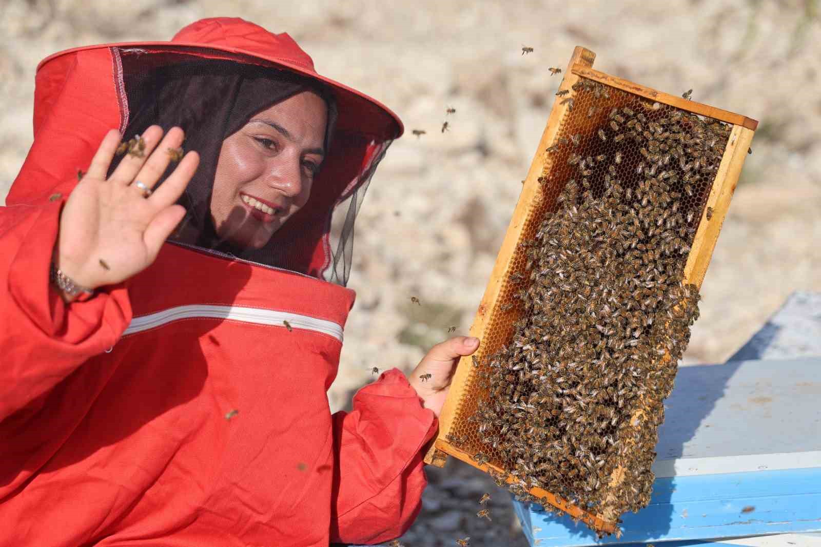 Arıların Peşinde Türkiye'yi Gezen Genç Kadın: 22 Yaşında Bin Kovanla Başarıya Ulaşan Latife Gül Kaplan