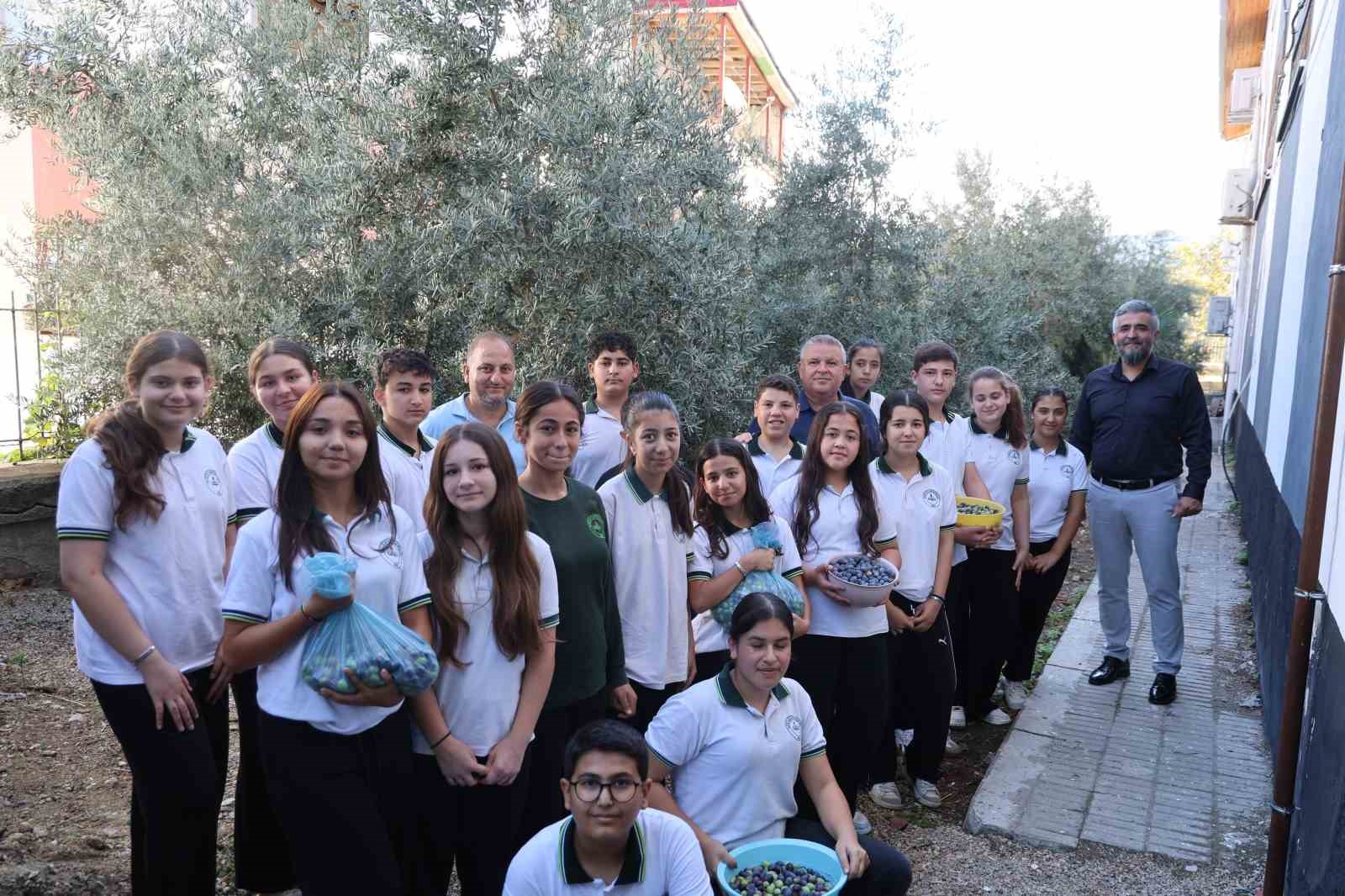 Adana'da Öğrenciler, 1. Sınıfta Diktikleri Zeytinleri 8. Sınıfta Topladı