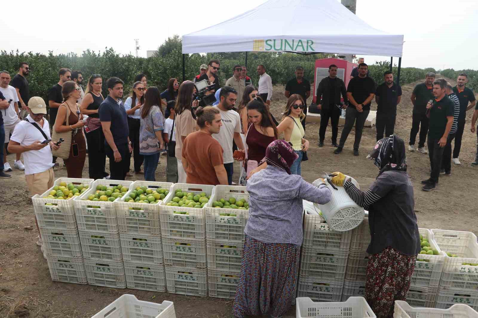 Adana Lezzet Festivali'nde Hasat Coşkusu