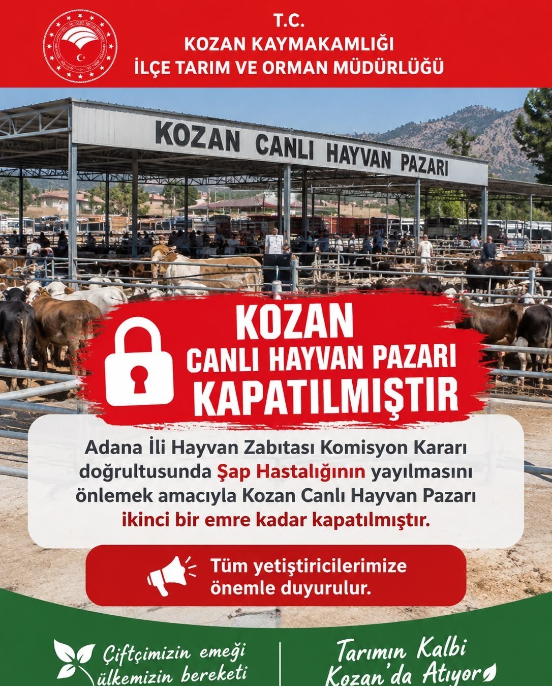 Kozan'da Canlı Hayvan Pazarı Şap Hastalığı Nedeniyle Kapatıldı