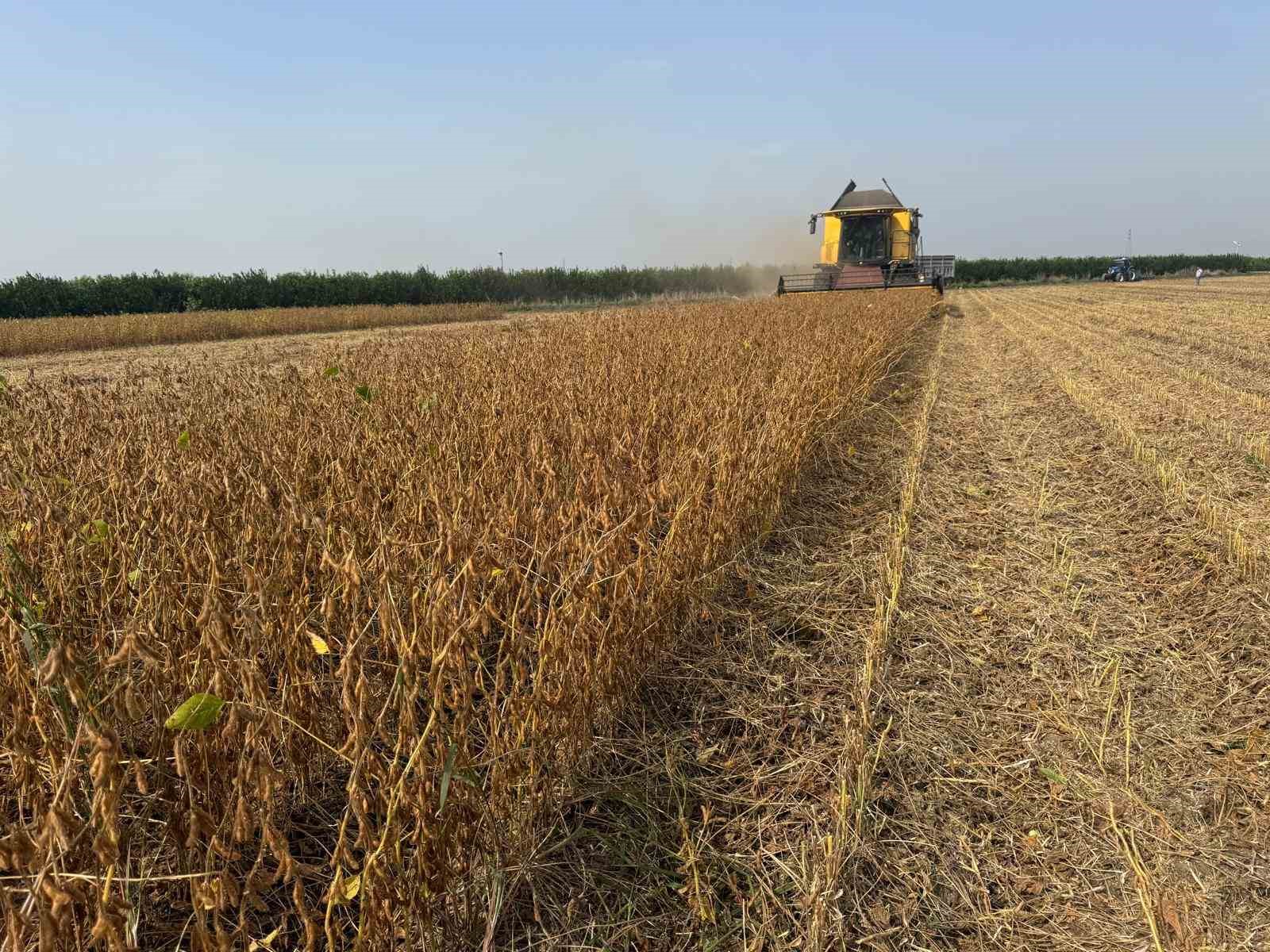 Adana'da 2026 Soya Hasadı İçin Biçerdöver Ücretleri Açıklandı