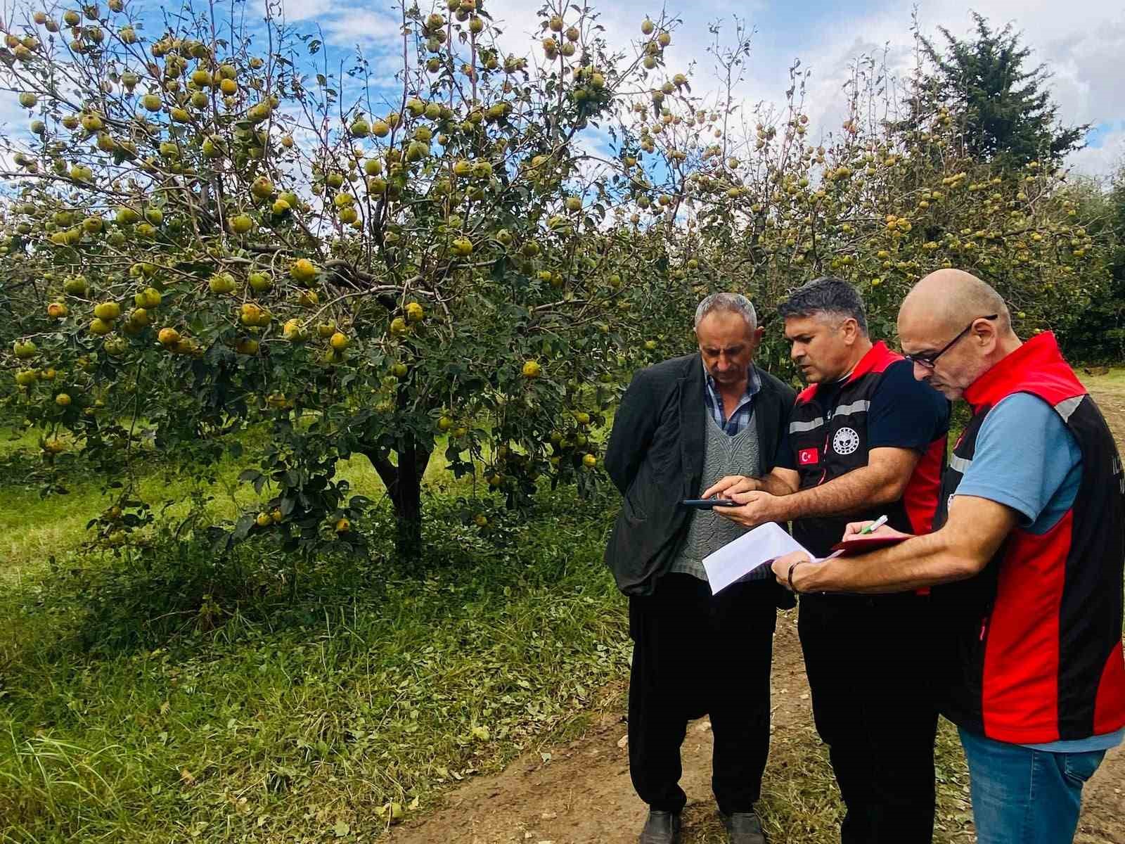 Kozan'da Dolu Hasar Tespiti İçin Çalışmalar Başladı