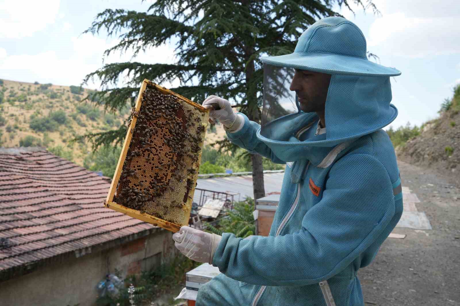 Ankara'nın Endemik Bitkileriyle Zenginleşen Kanyon Balı: 4 Ton Rekolte