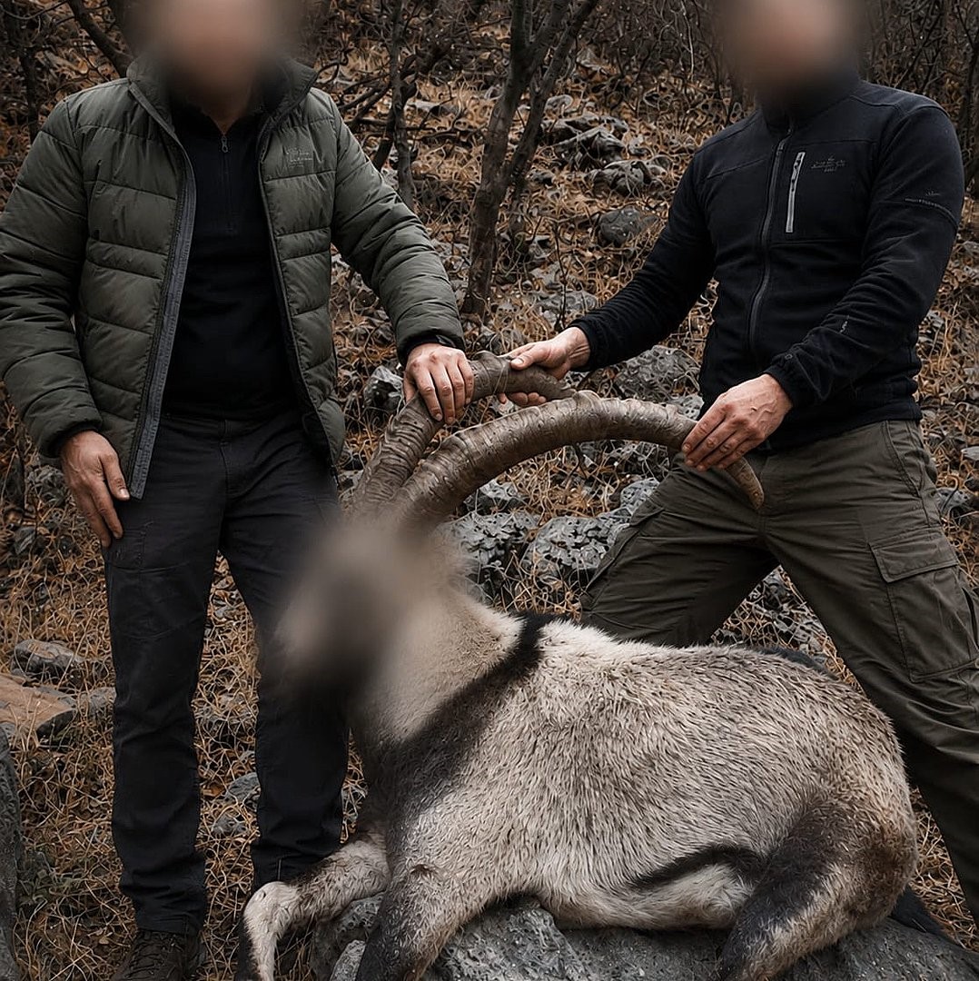 Yasa Dışı Avcılara Cezalar Yağdı: 5 Yaban Keçisi Korundu