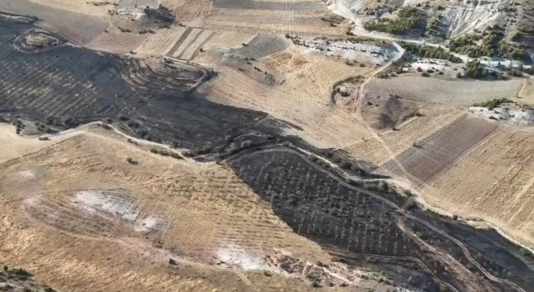 Ankara’da Tarım Arazisindeki Yangın Ormana Ulaşmadan Kontrol Altına Alındı