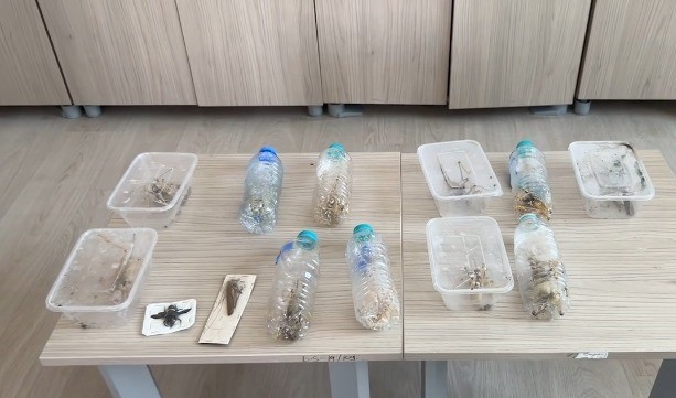 Bakan Yumaklı'dan Çarpıcı Açıklama: Nemrut Dağı'nda İzinsiz Tür Toplayanlara 1,4 Milyon Lira Ceza!