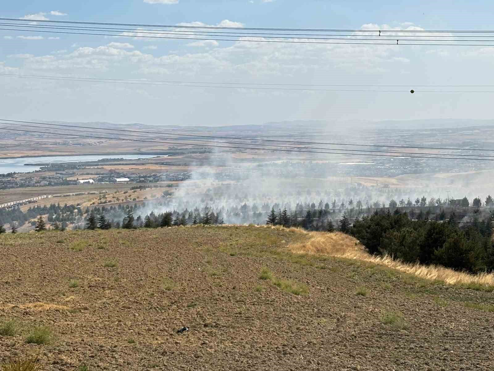 Gölbaşı'nda Orman Yangınına Yoğun Müdahale Devam Ediyor