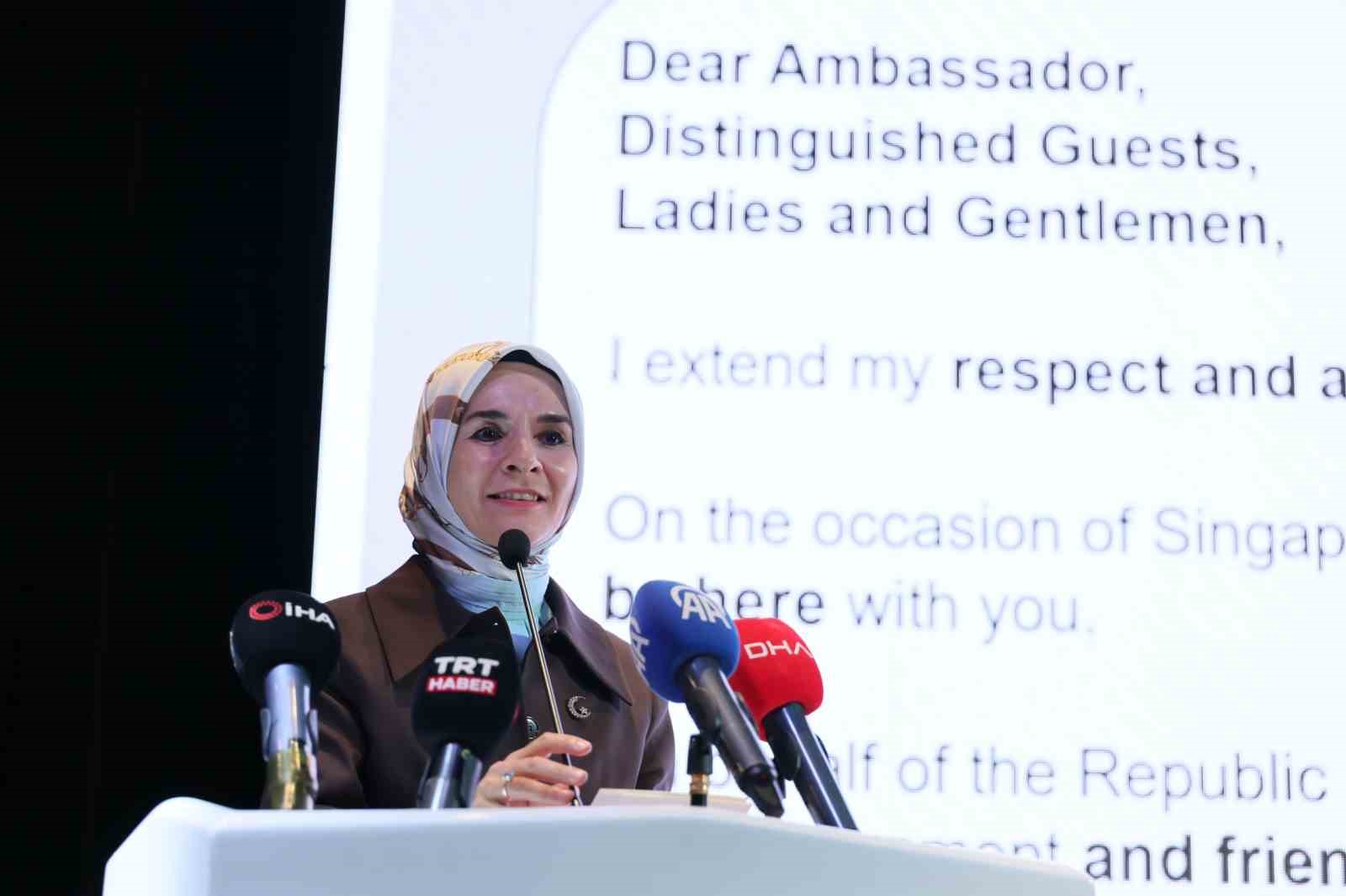 Bakan Göktaş: "Singapur ile İlişkileri Güçlendirmek İçin Kararlıyız"