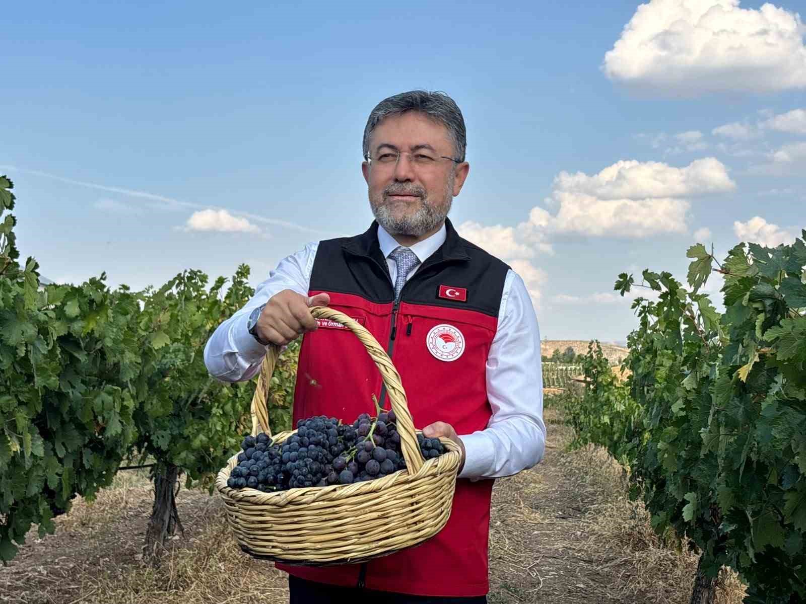 Bakan Yumaklı: Türkiye'nin üzüm üretimi bu yıl 3.8 milyon ton olacak