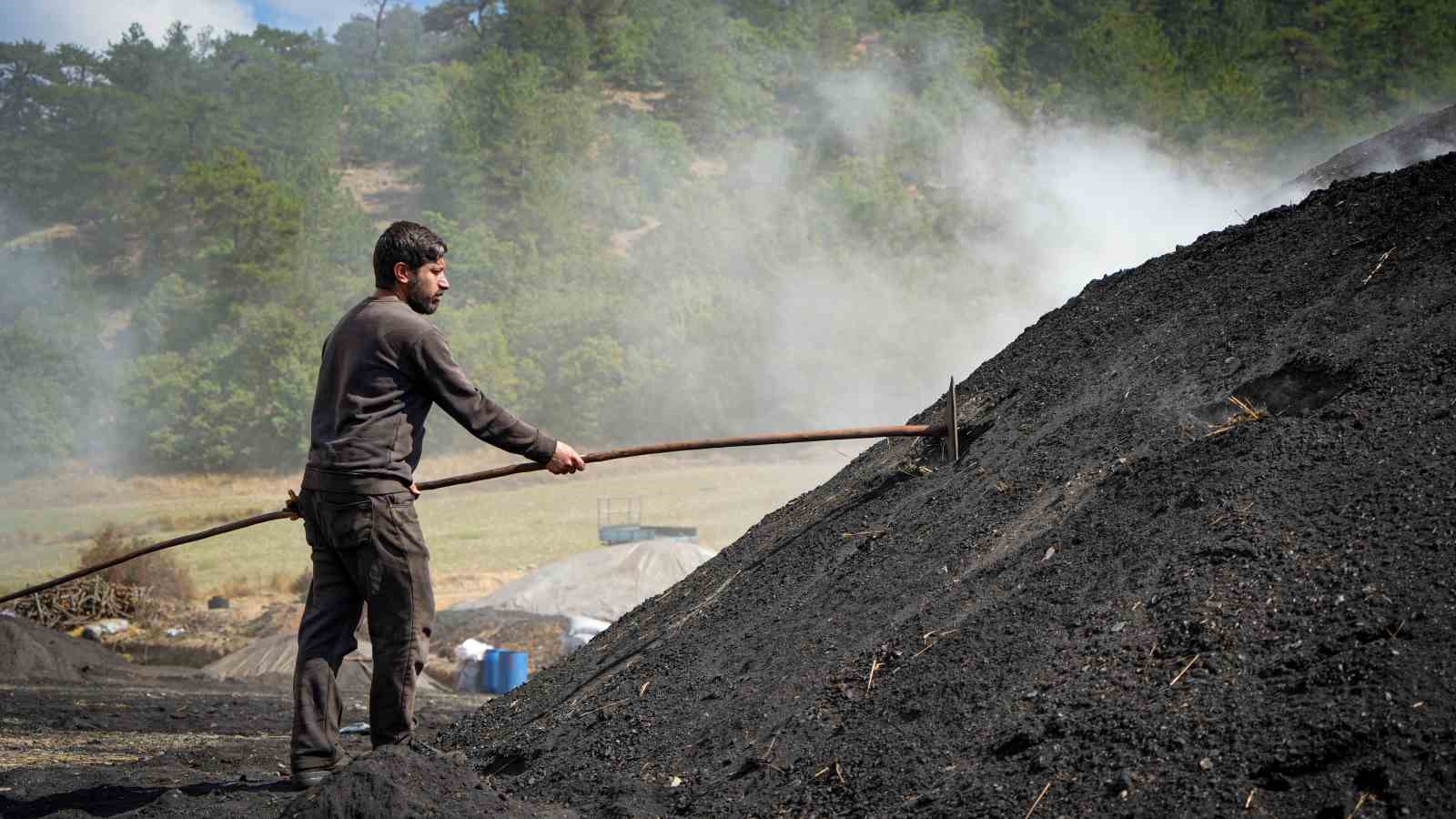 Ankara'da Mangal Kömürü İçin 15 Günlük Zorlu Mesai