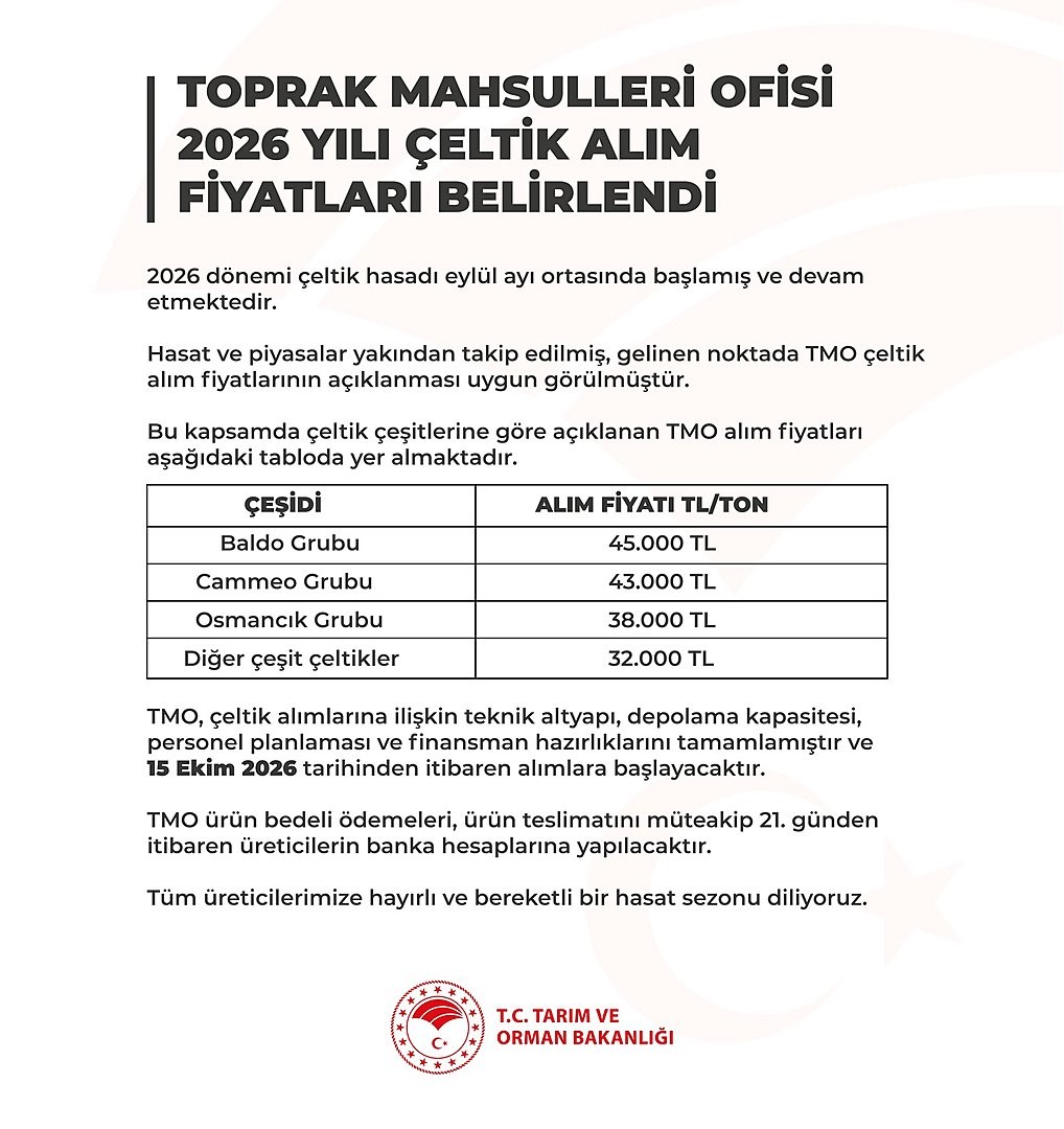 Çeltik Alım Fiyatları Açıklandı: Çiftçilerin Beklediği Rakamlar Belli Oldu