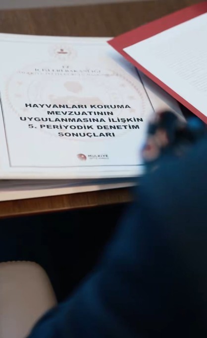 Bakan Çiftçi'den Sokak Hayvanlarına Dair Önemli Açıklama