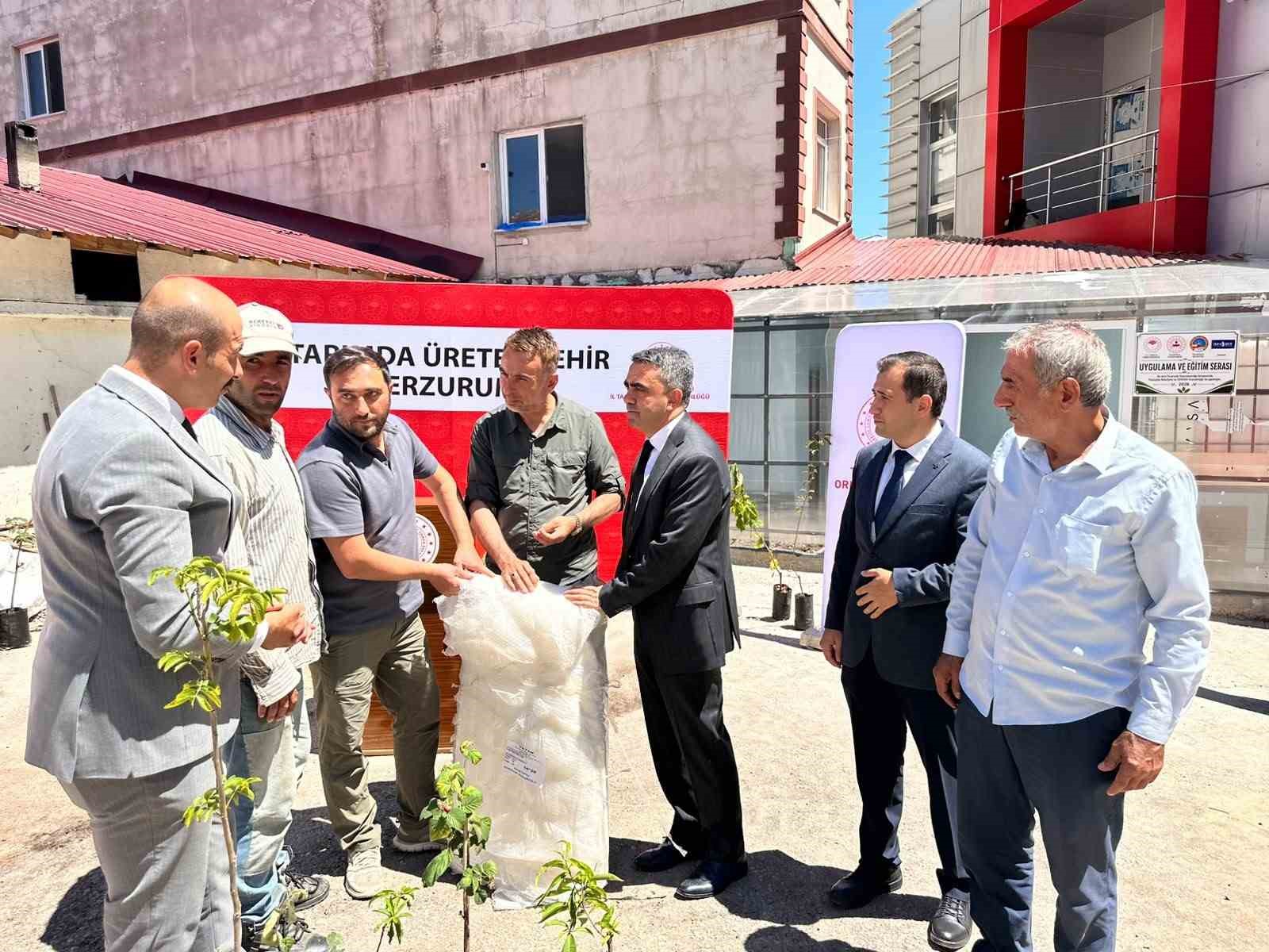 Pazaryolu'nda Üreticilere Meyve Fidanı ve Sera Desteği Verildi
