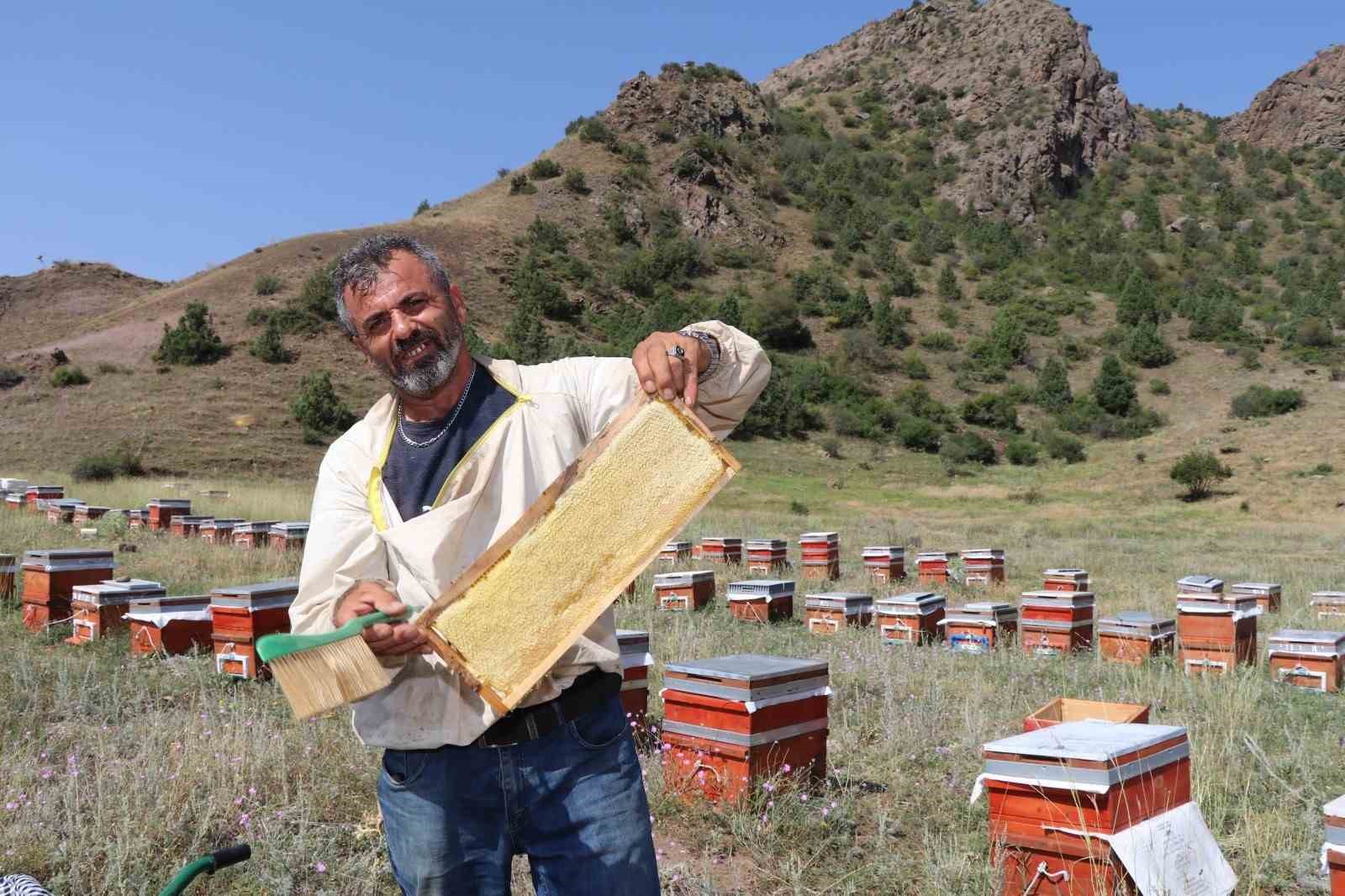 Oltu'da Bal Hasadı Sezonu Coşkuyla Başladı