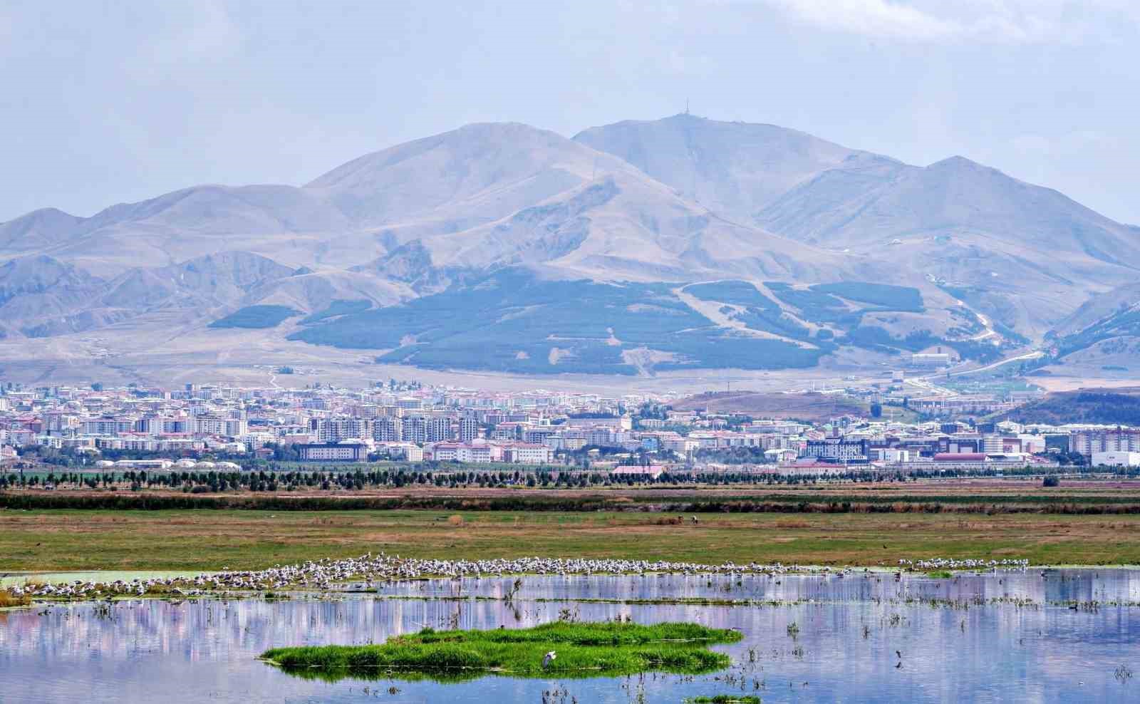 Erzurum'un Petrol Tarihi: 128 Yıl Önceki Belge Şaşırtıyor