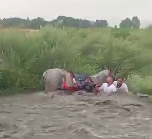 Cirit Takımı Sele Kapılmaktan Kıl Payı Kurtuldu