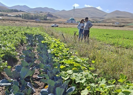 Erzurum'da Kadın Çiftçiler İçin Kırmızılahana ve Kereviz Projesi Devam Ediyor