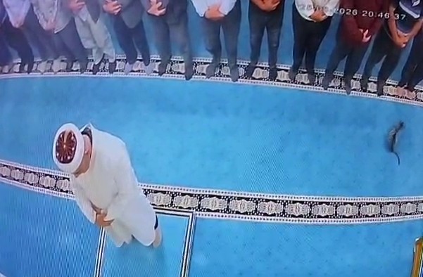 Cami içinde kediyi tekmeleyen şahsa sosyal medya tepkisi: Gözaltına alındı