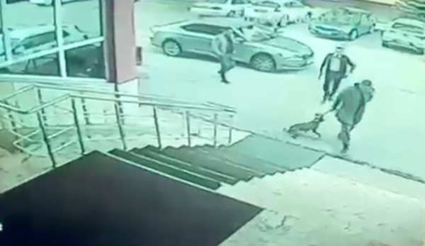 Palandöken Kaymakamı ve Korumasına Soruşturma Açıldı