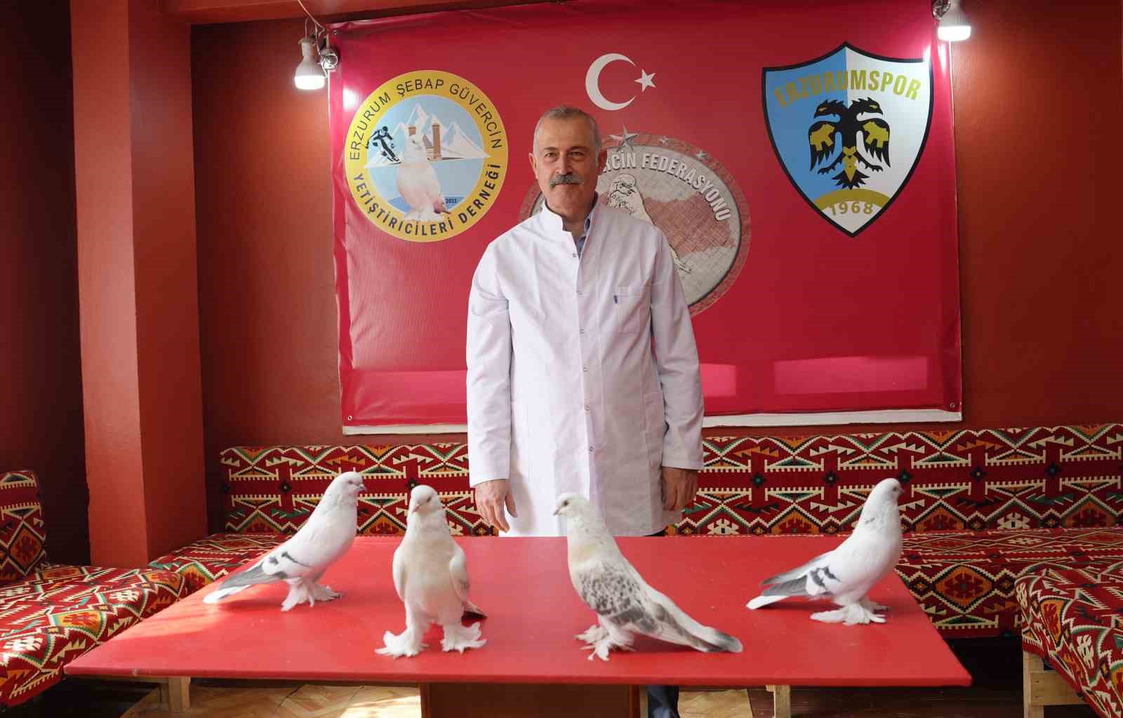 Emekli Astsubayın Güvercin Sevgisi: Aylık 10 Bin TL Harcıyor