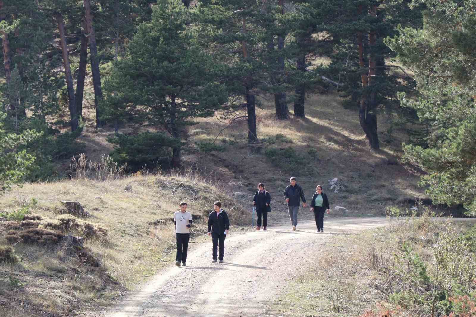 Erzurum'un Doğaseverleri, Sarıçam Ormanlarında Mantar Topladı ve Araç Kurtardı