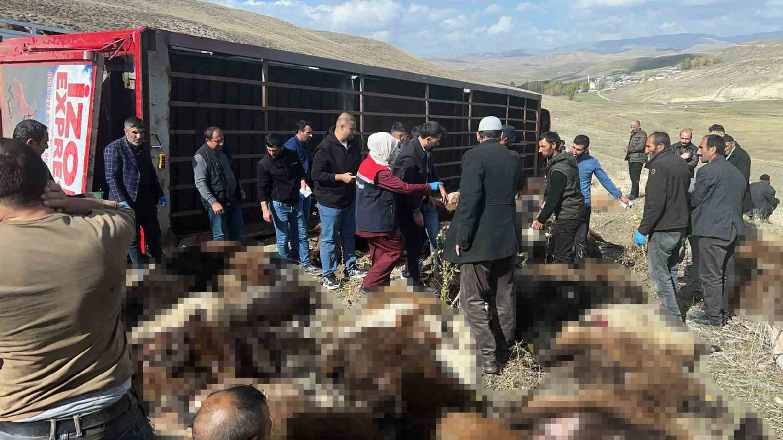 Erzurum'da Devrilen Tırda 130 Küçükbaş Hayvan Telef Oldu