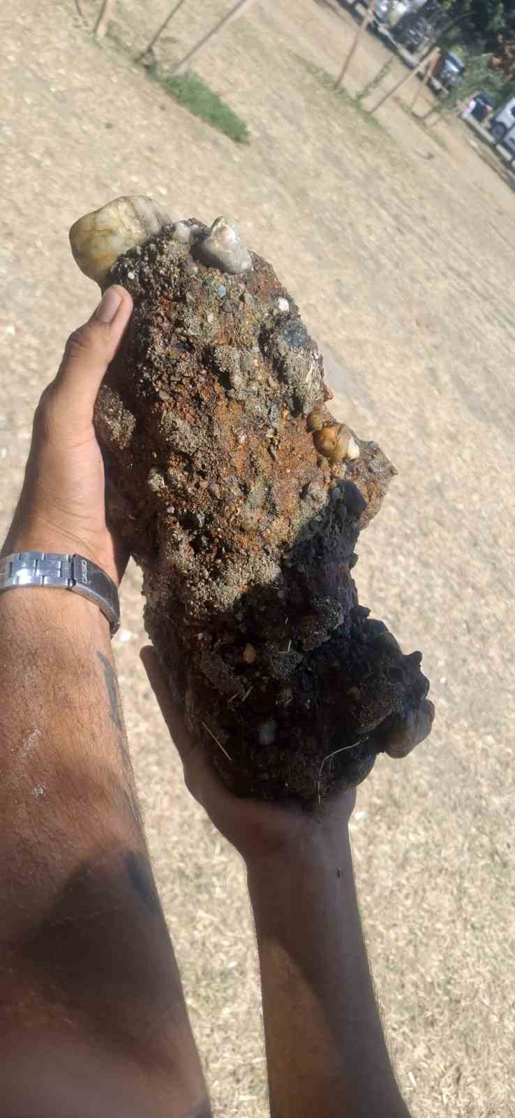 Çanakkale Plajında Gizemli Mühimmat Keşfi