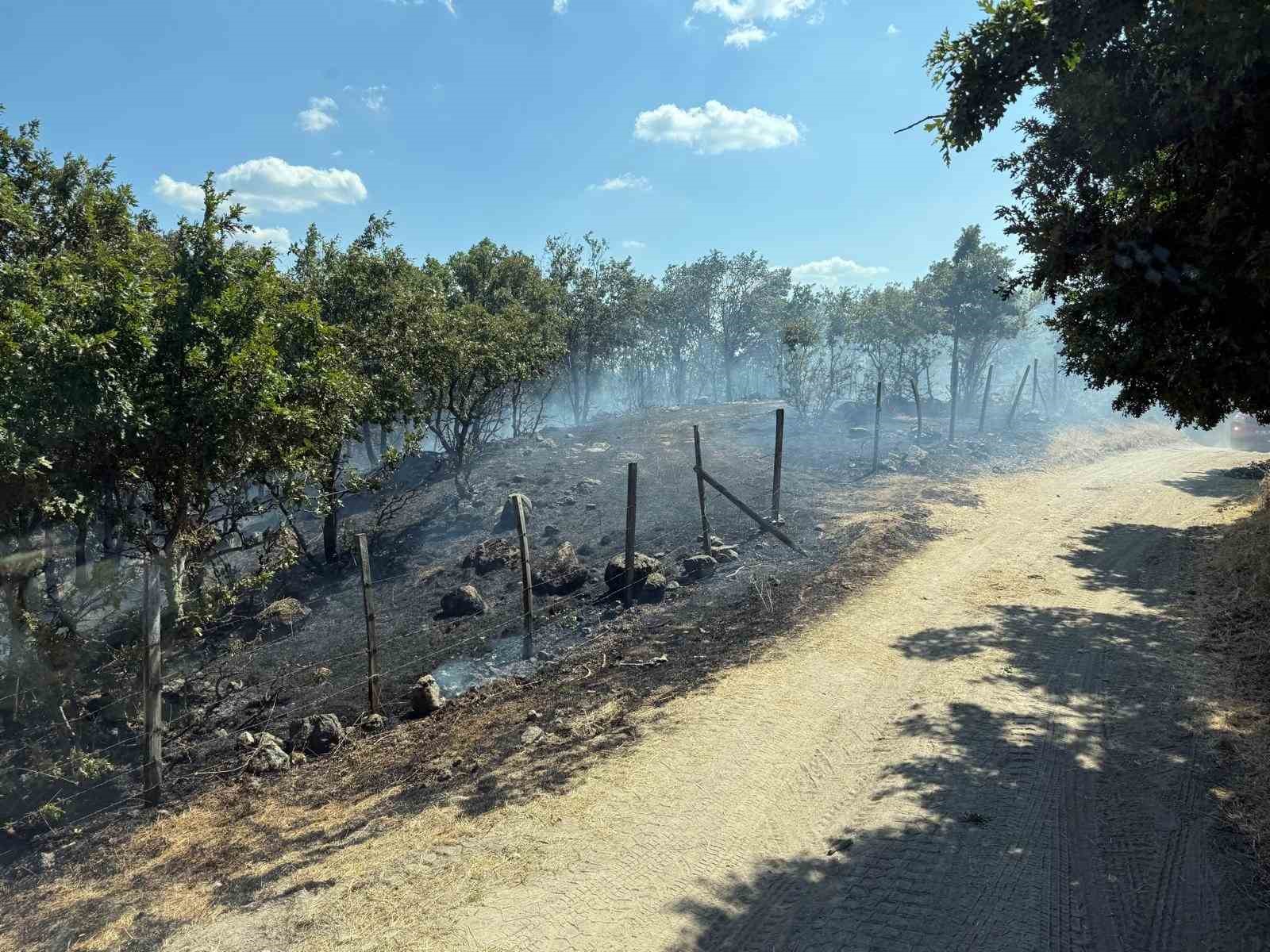 Çanakkale'de Tarım Arazisinde Yangın Korkuttu, Kontrol Altına Alındı