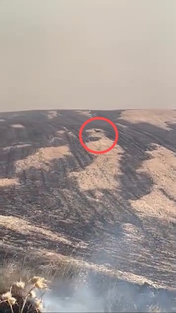 Sarıcaeli'nde Yangından Kaçan Geyiğin Anları Kamerada