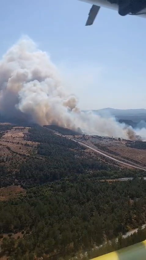 Bayramiç'te Orman Yangını Hızla Yayılıyor, Havadan Müdahale Başladı