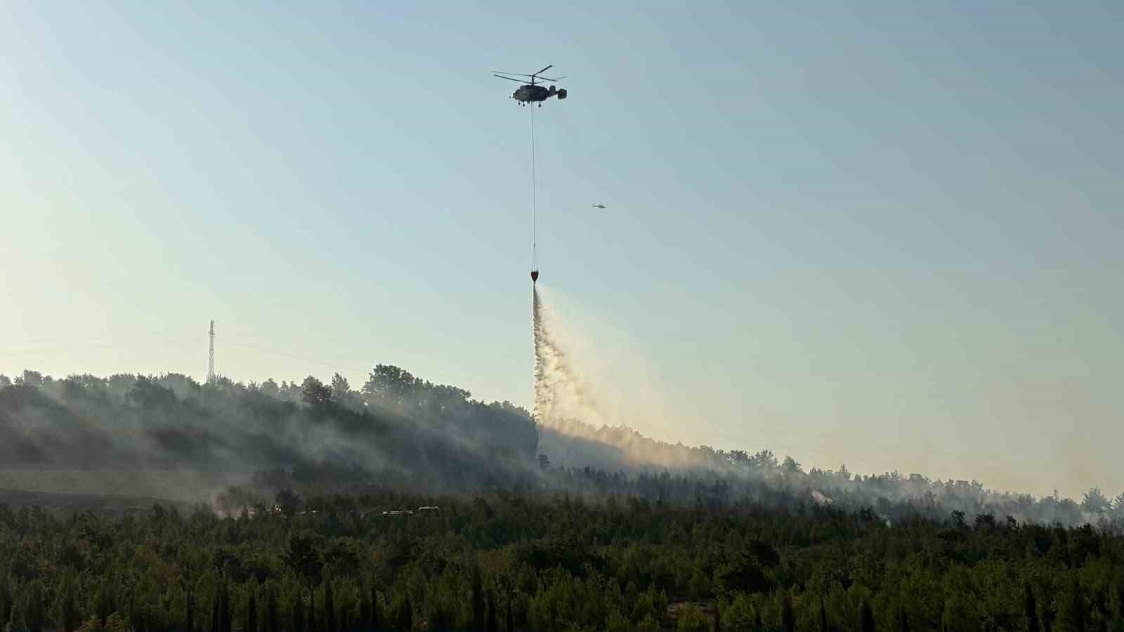 Çanakkale'deki Orman Yangınında Durum Kontrol Altında