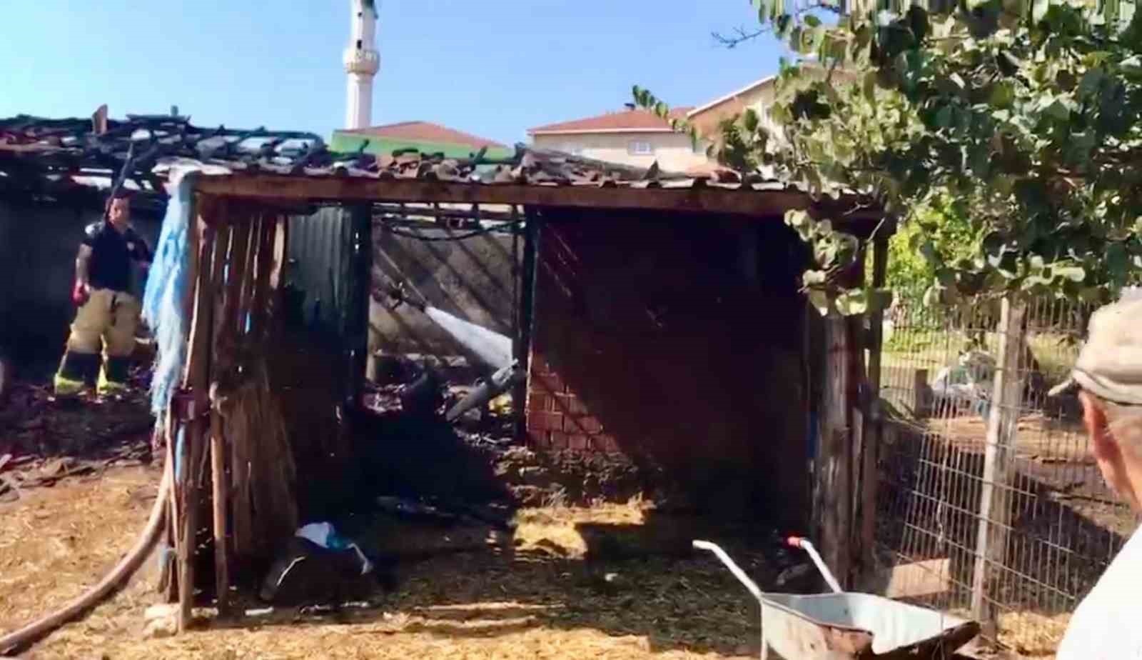 Çanakkale'de Ahır Yangını Kısa Sürede Kontrol Altına Alındı
