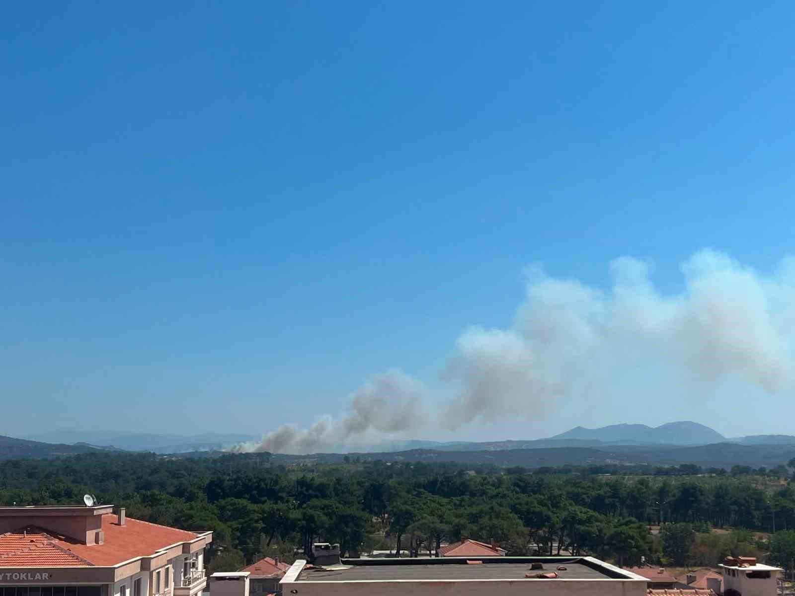 Ayvacık'ta Otluk Alanda Yangın Paniği