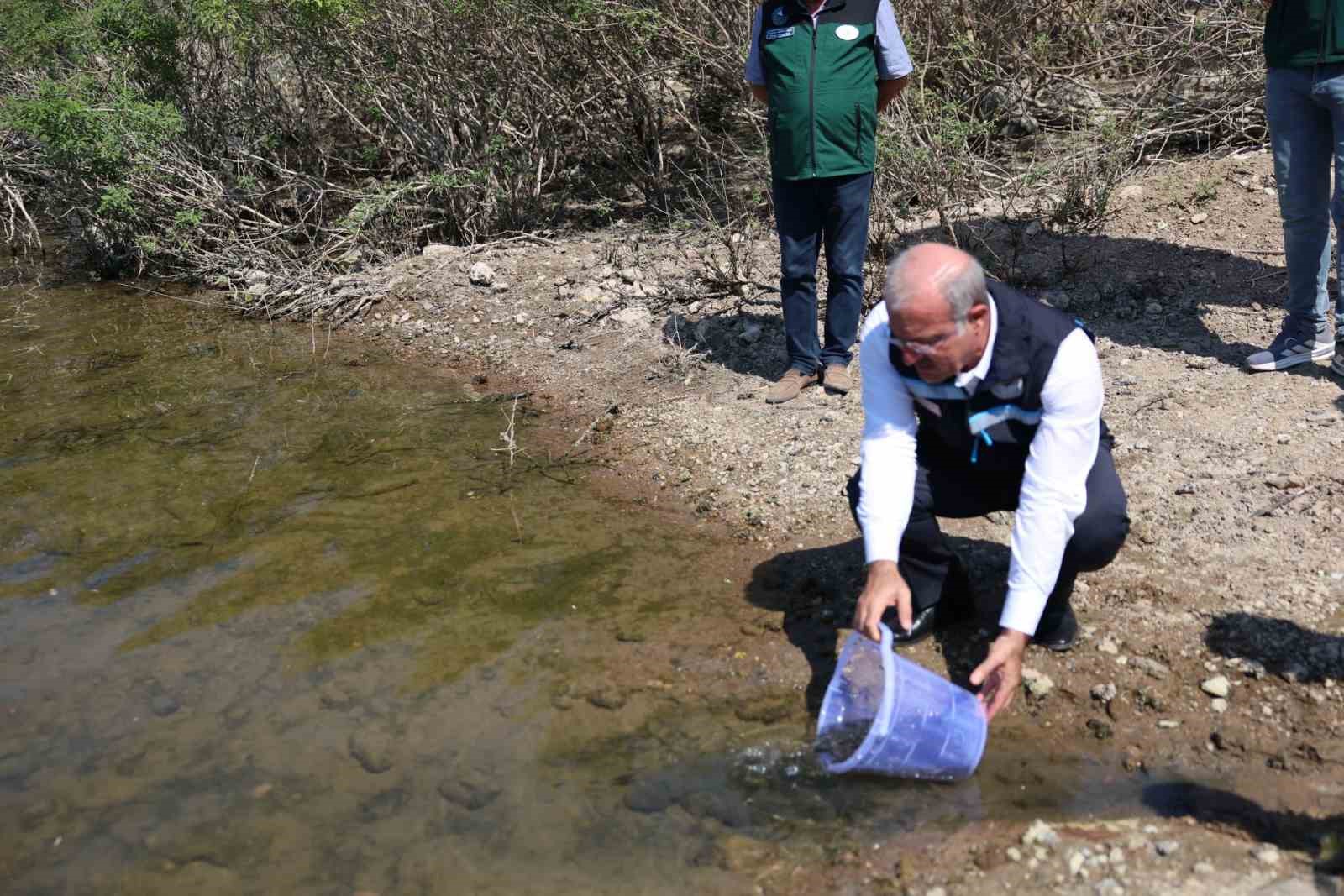 Çanakkale'de Atikhisar Barajı'na 348 Bin Sazan Yavrusu Salındı
