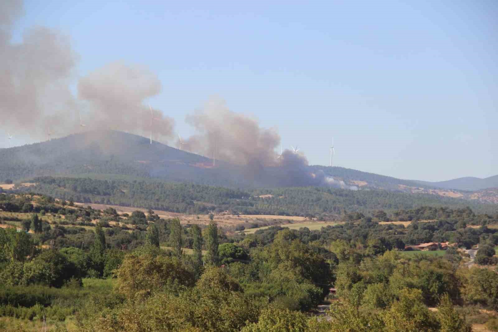 Bayramiç'te Orman Yangınına Hızla Müdahale Ediliyor